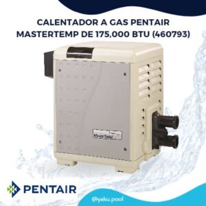 Calentador de piscina a gas con control de temperatura ajustable